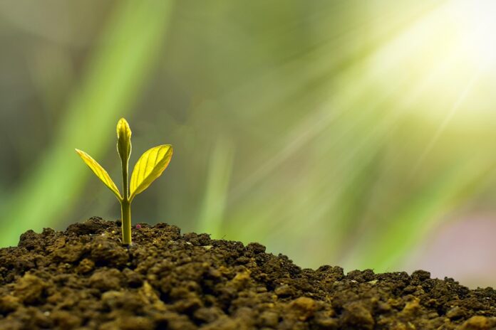 From Self-Doubt to Success: How to Overcome Your Inner Critic