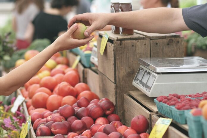 The Rise of the Solo Entrepreneur: Why Self-Employment is on the Rise