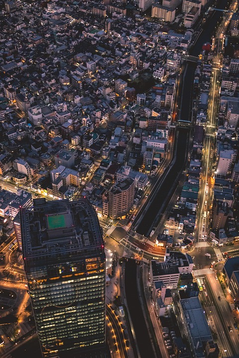 The Future of Work: How to Prepare for the Changing Job Market