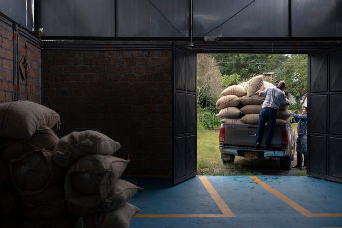 Breaking Free from the 9-to-5: The Allure of Online Self-Employment